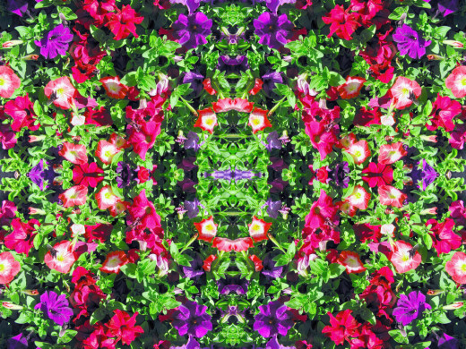 527385 (a): :1600x1198